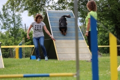 IMG_0541