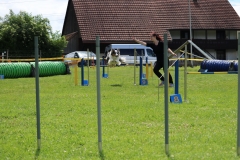 IMG_0556
