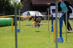 IMG_0583