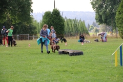 Ferienpass_Neuendorf_2019_091