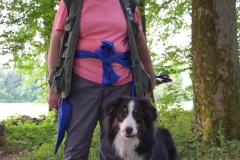 DSC_1767