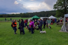 IMG-20190603-WA0017
