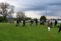 IMG-20190603-WA0028