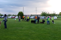 IMG-20190603-WA0029