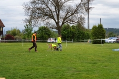 IMG-20190603-WA0030