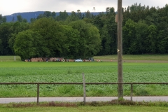IMG-20190603-WA0031