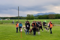 IMG-20190603-WA0034