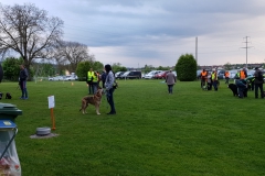 IMG-20190603-WA0044