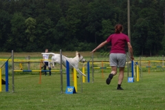 k-IMGP0019