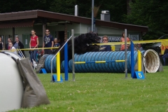 k-IMGP0031