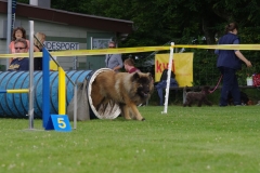 k-IMGP0046