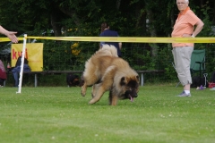 k-IMGP0047