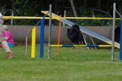 k-IMGP0068