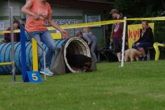 k-IMGP0076