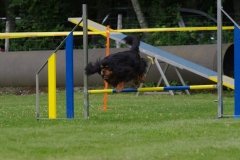 k-IMGP0079