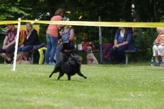 k-IMGP0097