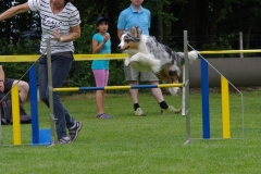 k-IMGP0105