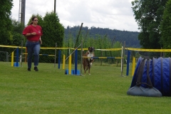 k-IMGP0109