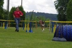k-IMGP0110