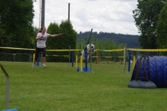 k-IMGP0113
