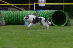 k-IMGP0117