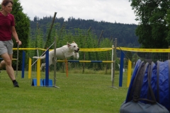 k-IMGP0125