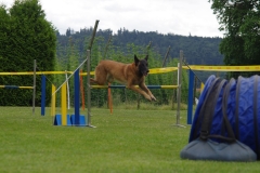 k-IMGP0134