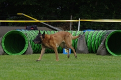 k-IMGP0136
