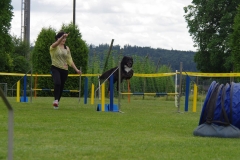 k-IMGP0137