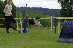 k-IMGP0144