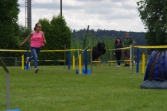 k-IMGP0154