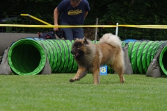k-IMGP0164