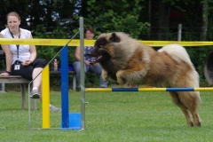 k-IMGP0165