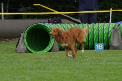 k-IMGP0171