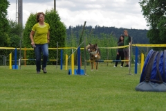 k-IMGP0172