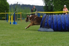 k-IMGP0173