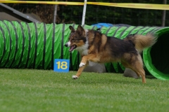 k-IMGP0176