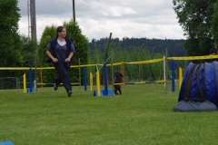 k-IMGP0183