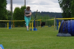 k-IMGP0193