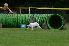 k-IMGP0208
