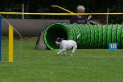 k-IMGP0209