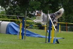 k-IMGP0223
