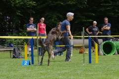 k-IMGP0226