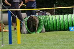 k-IMGP0228