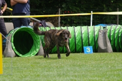 k-IMGP0229