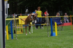 k-IMGP0234