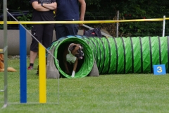 k-IMGP0235