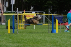 k-IMGP0311