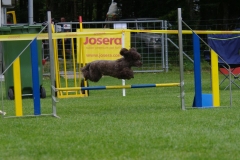 k-IMGP0319