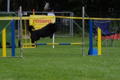 k-IMGP0325